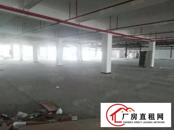 清溪浮岗原房东标准红本二楼厂房2000平招租零公摊可分租