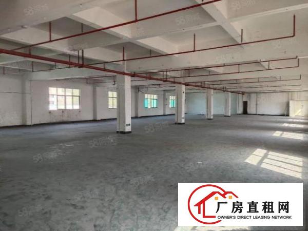  清溪浮岗原房东标准红本二楼厂房2000平招租零公摊可分租