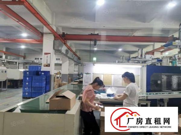  特价清溪镇三中原房东免公摊精装厂房出租一楼1000平方