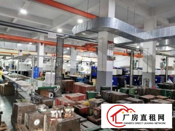  特价清溪镇三中原房东免公摊精装厂房出租一楼1000平方