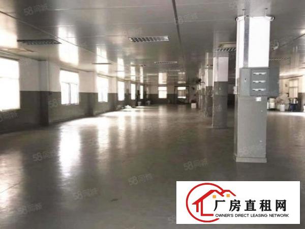 清溪三中新出二楼2600平可分租，现成办公室有地坪漆