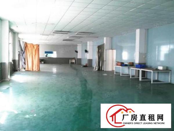  清溪三中新出二楼2600平可分租，现成办公室有地坪漆