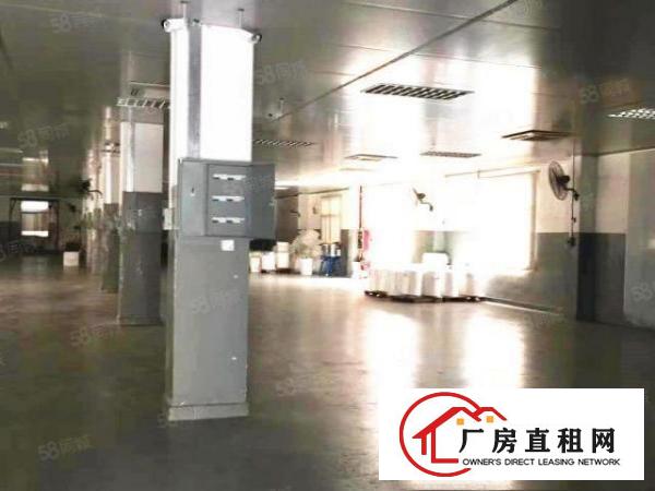  清溪三中新出二楼2600平可分租，现成办公室有地坪漆
