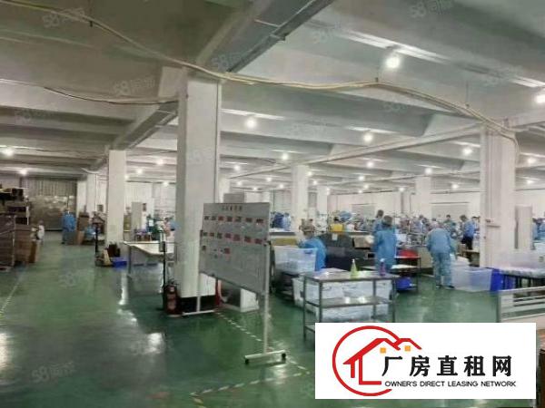  清溪大利二楼2100平出租现成装修现成无尘车间无需转让费