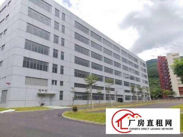  新厂房9万平园区，面积自选，位置优越，交通便利，易招工！