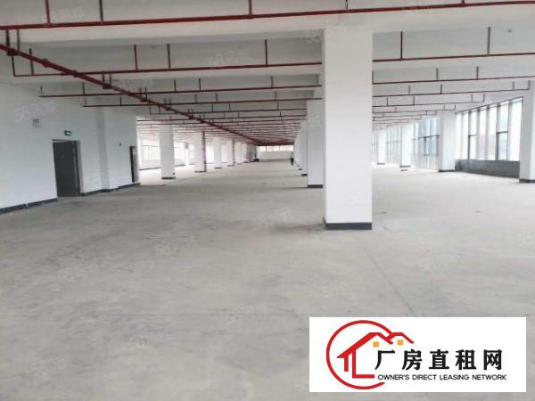  新厂房9万平园区，面积自选，位置优越，交通便利，易招工！