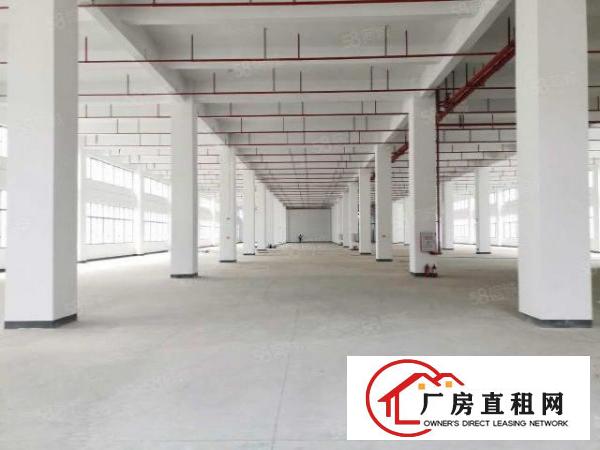  新厂房9万平园区，面积自选，位置优越，交通便利，易招工！