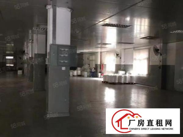  清溪三中刚空出小独栋两层精装修厂房标准厂房出租！