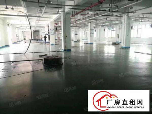  清溪铁松工业厂房2000平8元，带房产证，消防喷淋，可做电池