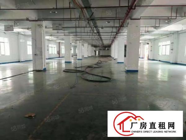  清溪铁松工业厂房2000平8元，带房产证，消防喷淋，可做电池