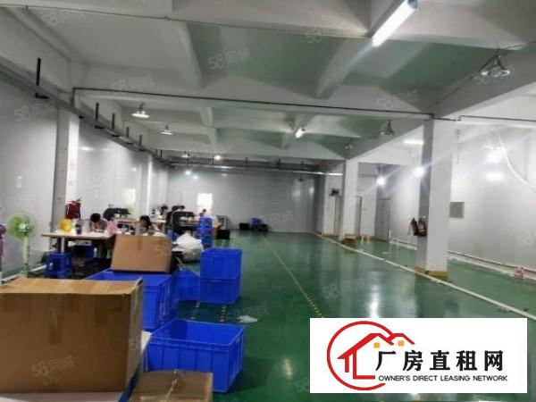  清溪镇标准厂房二楼整层1500平方现成办公室