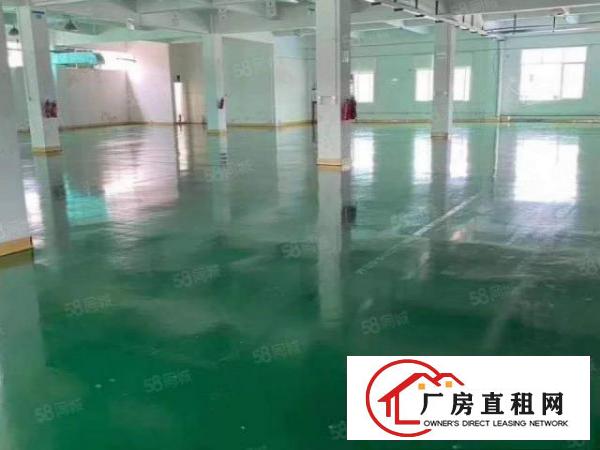  清溪镇标准厂房二楼整层1500平方现成办公室
