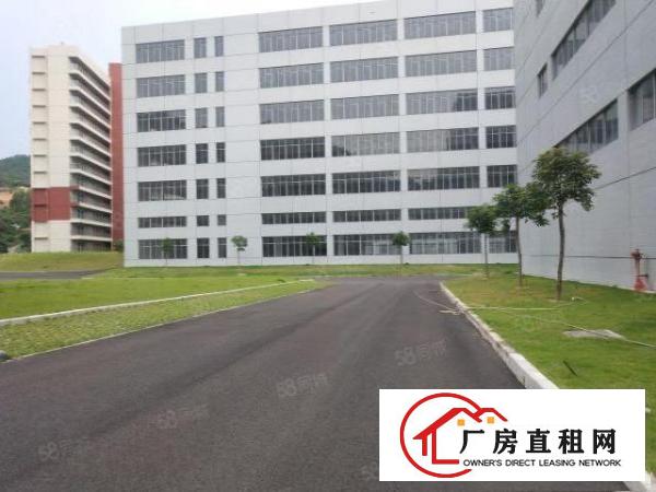  清溪镇罗马全新园区9万平招租，临近马路，交通便利，易招工！！