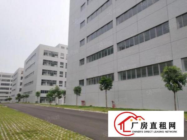  清溪镇罗马全新园区9万平招租，临近马路，交通便利，易招工！！