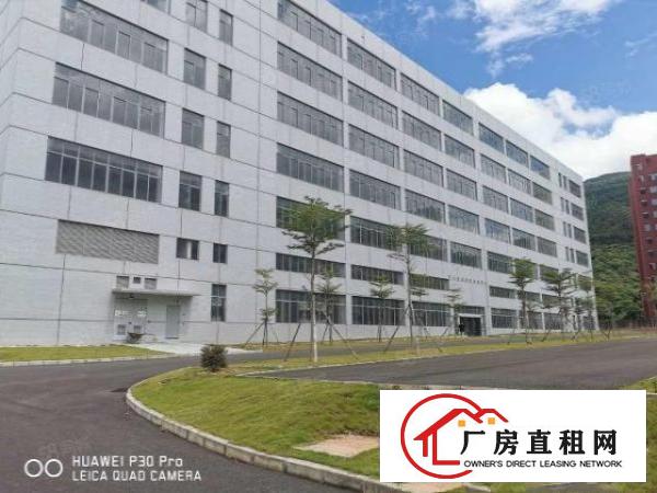  清溪镇罗马全新园区9万平招租，临近马路，交通便利，易招工！！