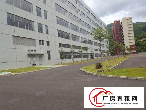  清溪镇罗马全新园区9万平招租，临近马路，交通便利，易招工！！