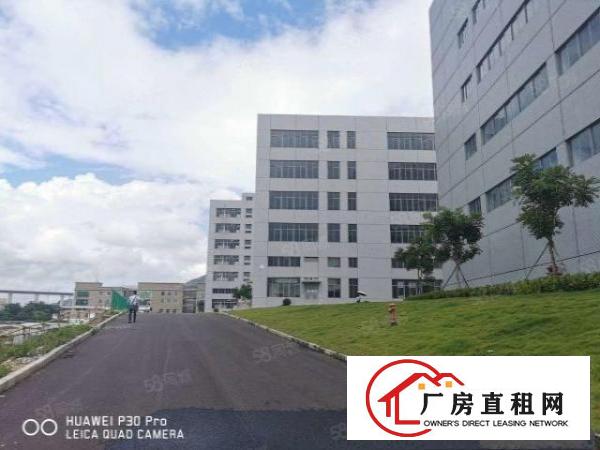  清溪镇罗马全新园区9万平招租，临近马路，交通便利，易招工！！