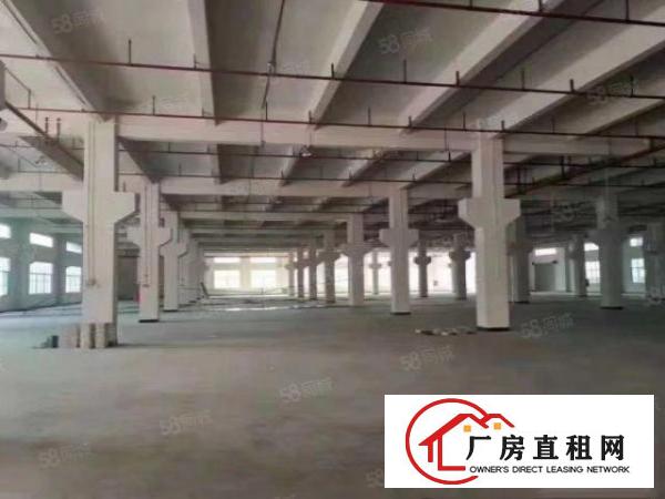  带牛角清溪全新厂房一楼1680平方，空地大货车了掉头