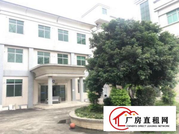  原房东实际面积厂房清溪新出独门独院6888平方厂房直租