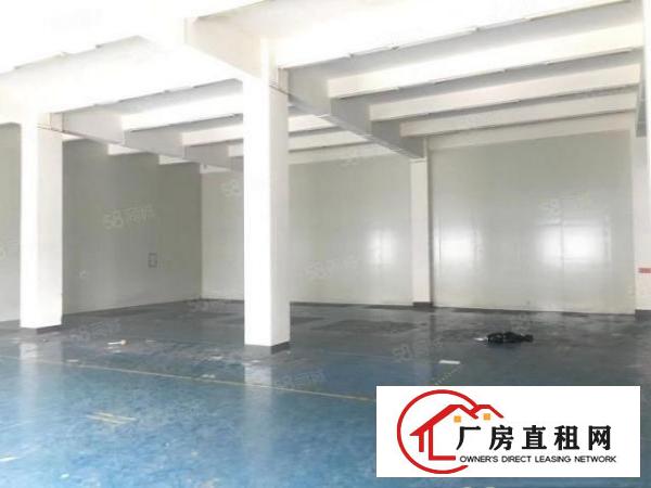  原房东实际面积厂房清溪新出独门独院6888平方厂房直租