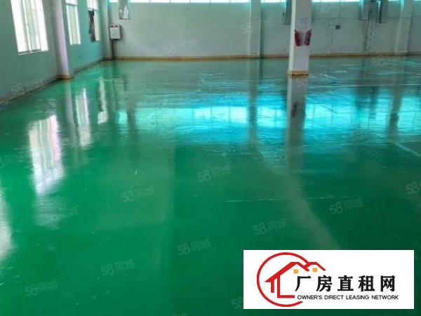  实际面积出租，清溪镇浮岗新出一楼680平，有意请速与我联系