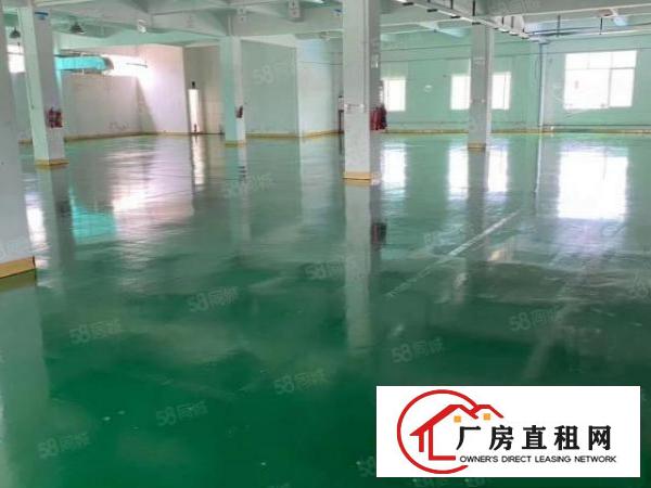 实际面积出租，清溪镇浮岗新出一楼680平，有意请速与我联系