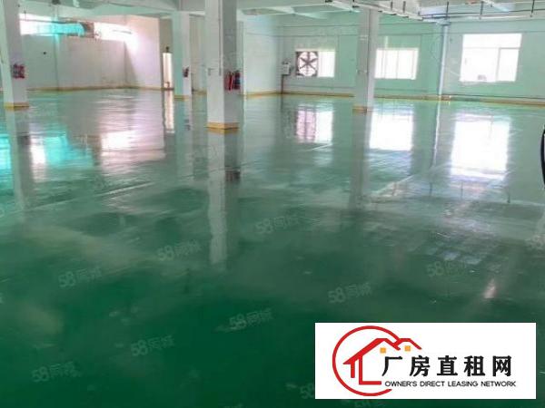  实际面积出租，清溪镇浮岗新出一楼680平，有意请速与我联系