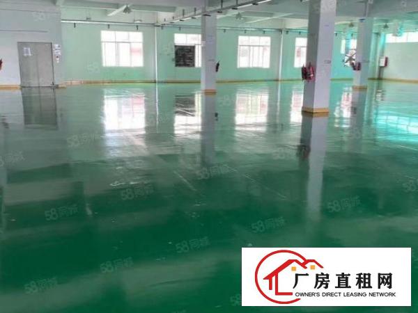  实际面积出租，清溪镇浮岗新出一楼680平，有意请速与我联系