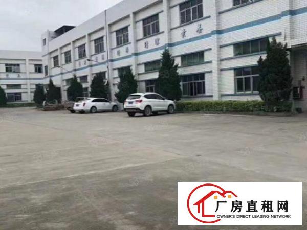  清溪主干道新出原房东独院12500平方（大小分租）