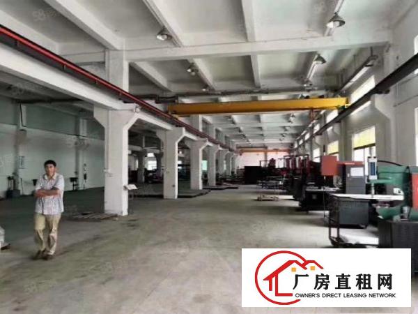  清溪主干道新出原房东独院12500平方（大小分租）