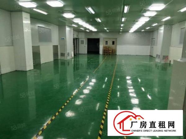  清溪高速路口原房东独门独院厂房4580平方可办环评18元