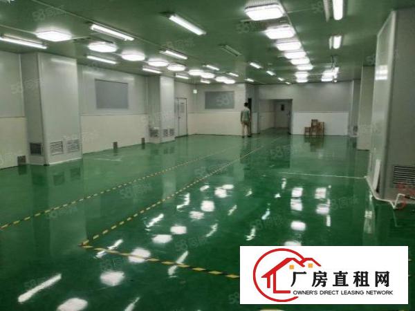  清溪高速路口原房东独门独院厂房4580平方可办环评18元
