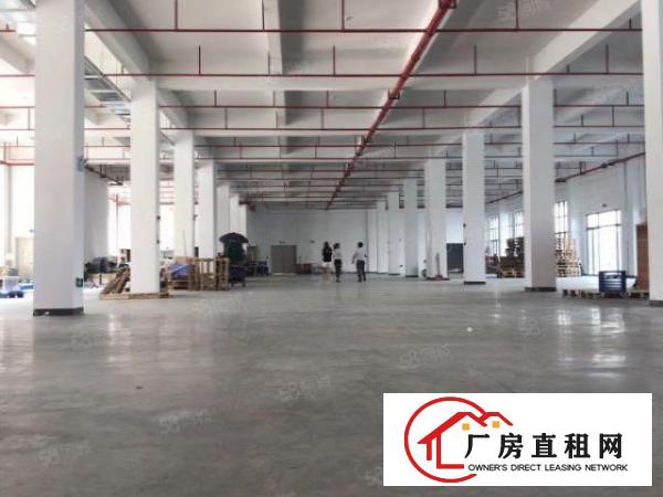  清溪荔横新出原房东一楼2000平方可分租