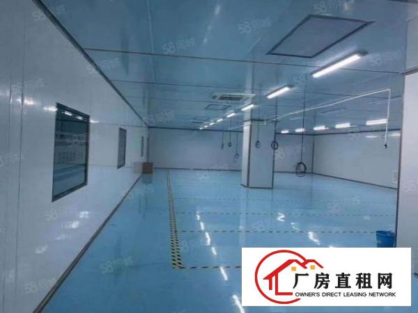  清溪镇三中村新空出无尘车间十万级1000限时出租手慢无.