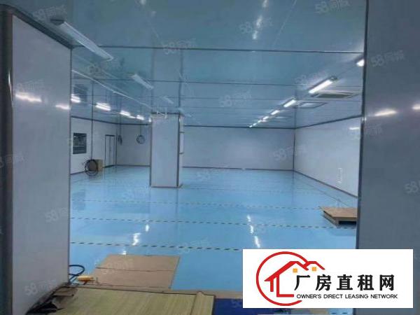  清溪镇三中村新空出无尘车间十万级1000限时出租手慢无.