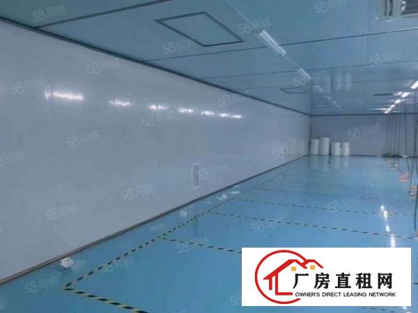  清溪镇三中村新空出无尘车间十万级1000限时出租手慢无.