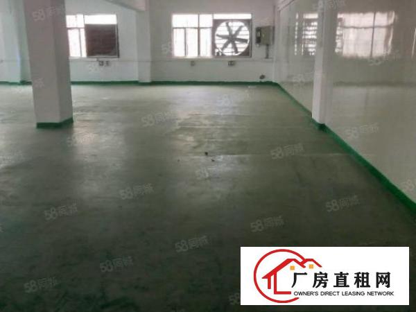  清溪科技路旁新出厂房620平，交通便利，招工方便，随时可看