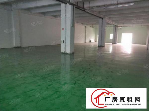  清溪科技路旁新出厂房620平，交通便利，招工方便，随时可看