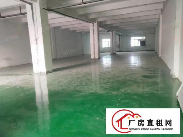  清溪科技路旁新出厂房620平，交通便利，招工方便，随时可看