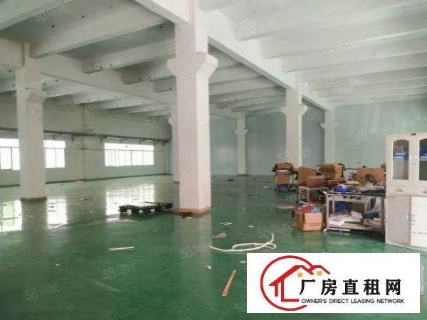  清溪镇原房东标准厂房一楼1000平方出租，带装修。