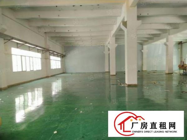  清溪镇原房东标准厂房一楼1000平方出租，带装修。