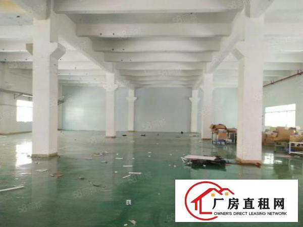  清溪镇原房东标准厂房一楼1000平方出租，带装修。