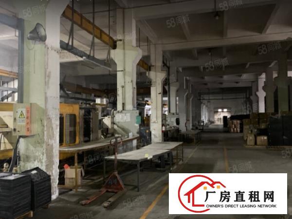  清溪主干道边上新出标准一楼1500平方带牛角