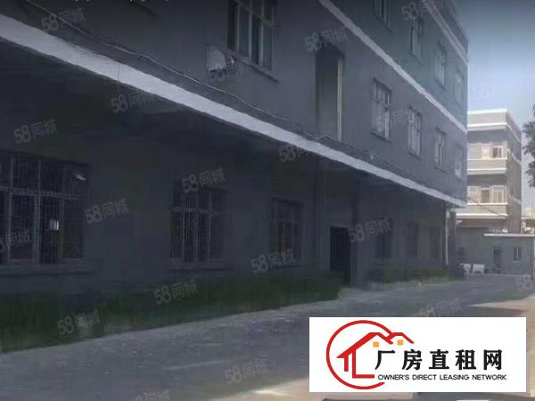  清溪主干道边上新出标准一楼1500平方带牛角