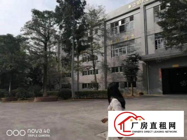  清溪镇三中工业区原房东带红本花园式独院厂房12000平米招租