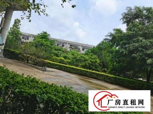  清溪镇三中工业区原房东带红本花园式独院厂房12000平米招租