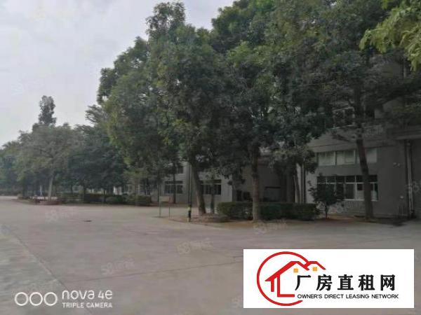  清溪镇三中工业区原房东带红本花园式独院厂房12000平米招租