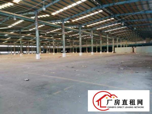  东莞清溪镇镇中心新出独栋钢结构厂房10000，带装修配套
