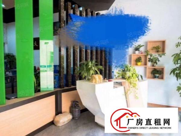  特价厂房一楼13.8清溪新出一楼1800厂房带行车厂房