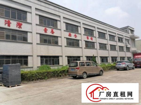  清溪荔横村工业区一楼标准厂房2020平米低价出租
